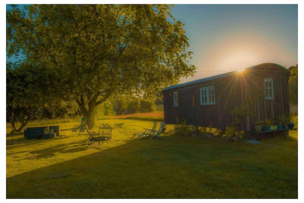 Mountbatten Shepherds Hut & Buckhurst Shepherds Hut Ashford  Buitenkant foto
