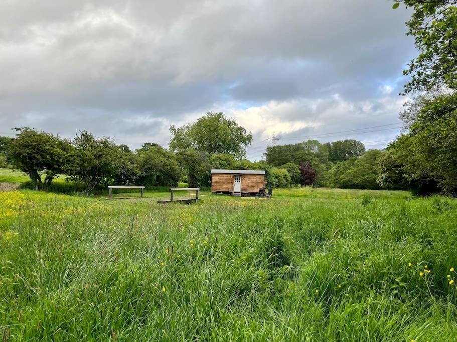 Mountbatten Shepherds Hut & Buckhurst Shepherds Hut Ashford  Buitenkant foto