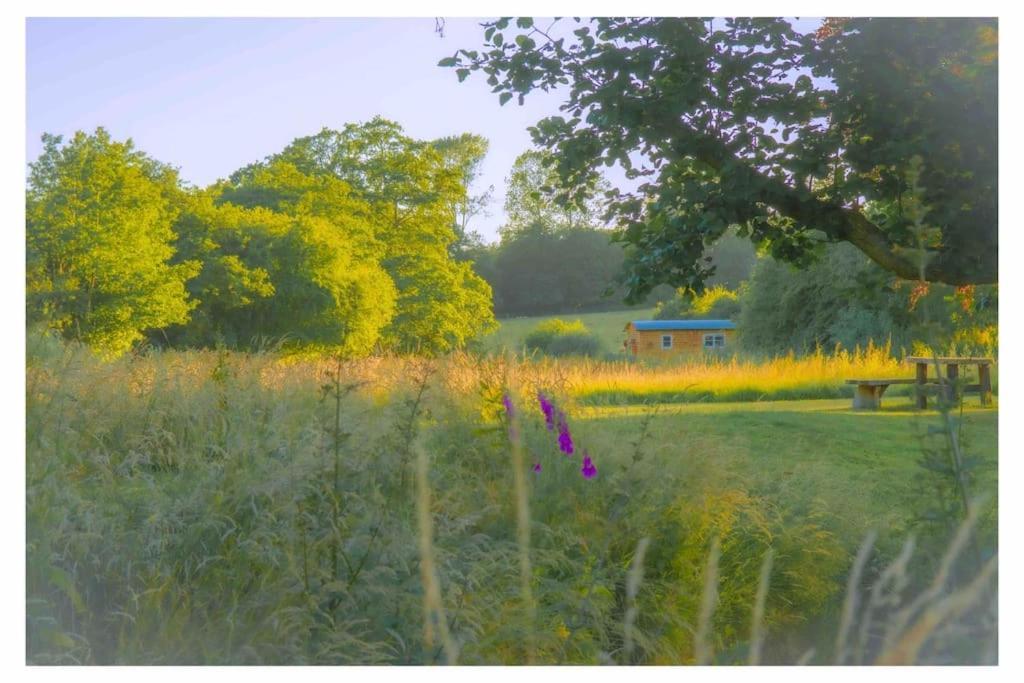 Mountbatten Shepherds Hut & Buckhurst Shepherds Hut Ashford  Buitenkant foto