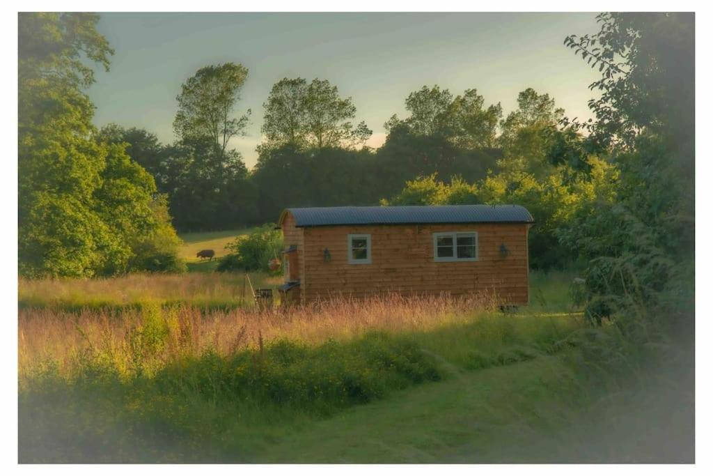 Mountbatten Shepherds Hut & Buckhurst Shepherds Hut Ashford  Buitenkant foto