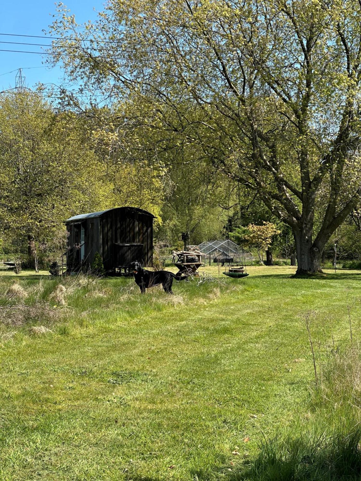 Mountbatten Shepherds Hut & Buckhurst Shepherds Hut Ashford  Buitenkant foto