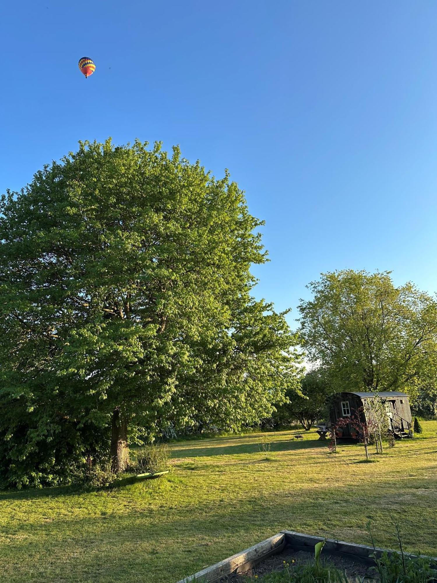 Mountbatten Shepherds Hut & Buckhurst Shepherds Hut Ashford  Buitenkant foto