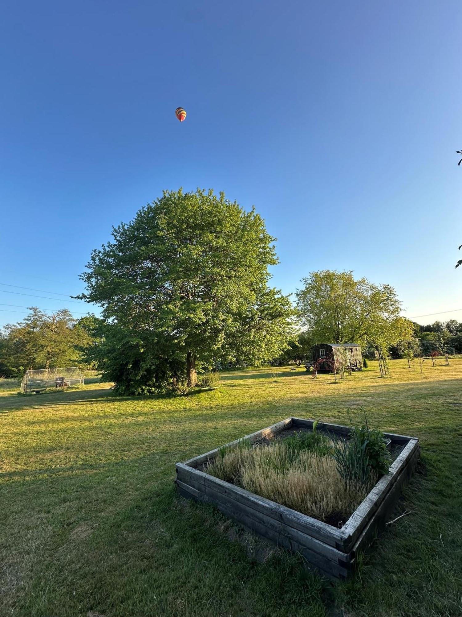 Mountbatten Shepherds Hut & Buckhurst Shepherds Hut Ashford  Buitenkant foto